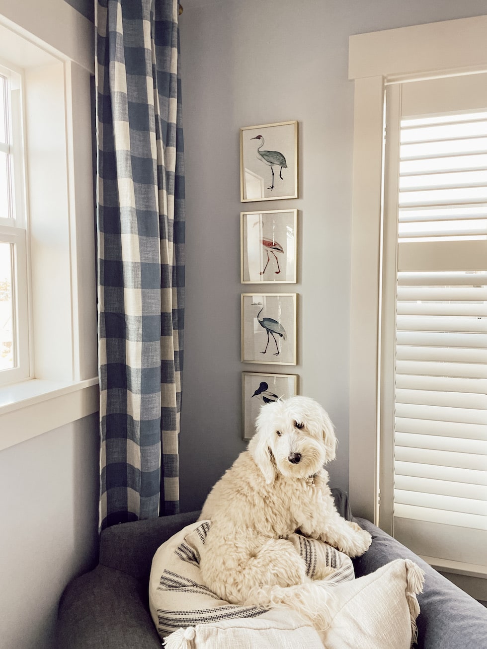 Little Bits of Progress (My Blue and White Checked Curtains + Bird Art!)