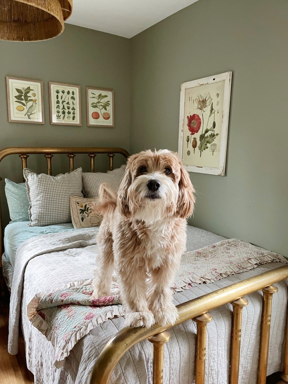 Kylee's Home Office Guest Room Makeover