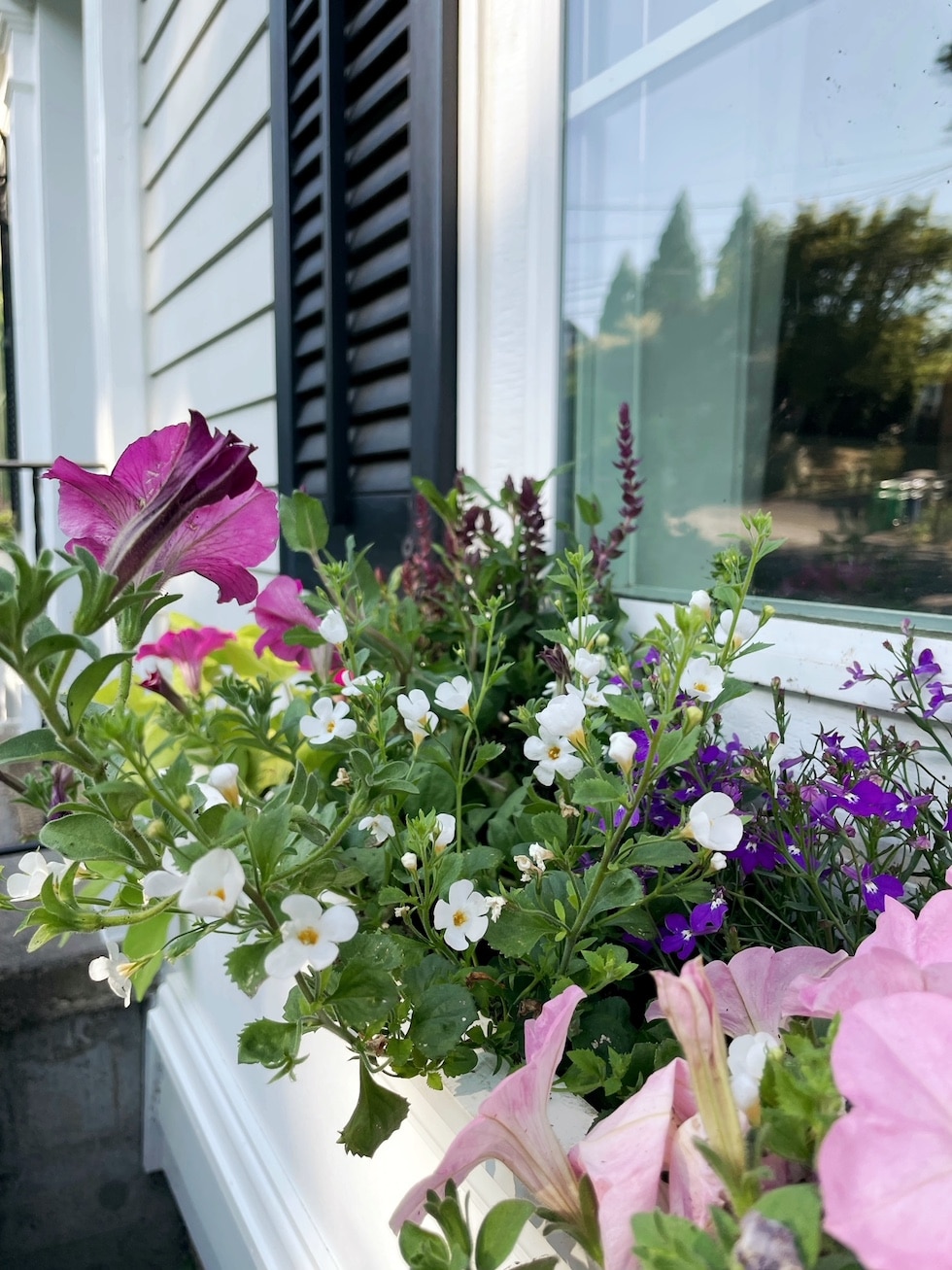 Window Boxes to Add Curb Appeal (Kylee's House Update)