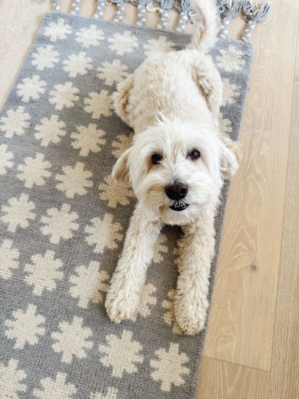 Remodeling the upstairs with new carpet, paint + trim - JONES DESIGN CO.