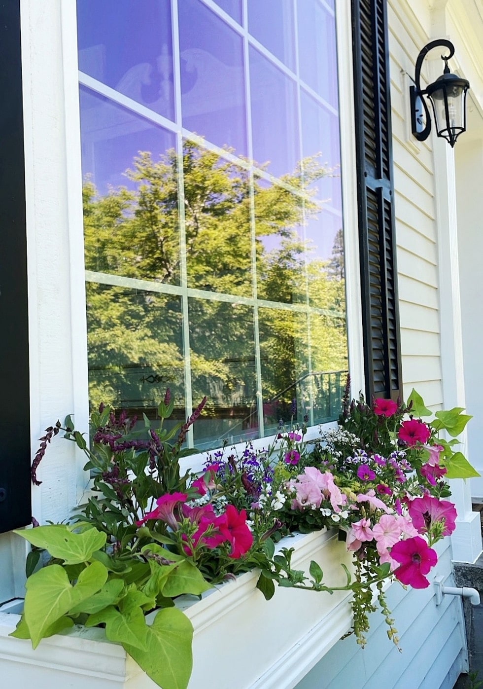 Window Boxes to Add Curb Appeal (Kylee's House Update)