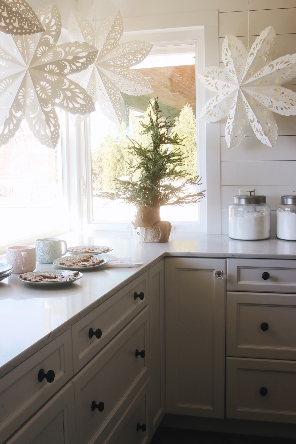 Giant Paper Snowflakes