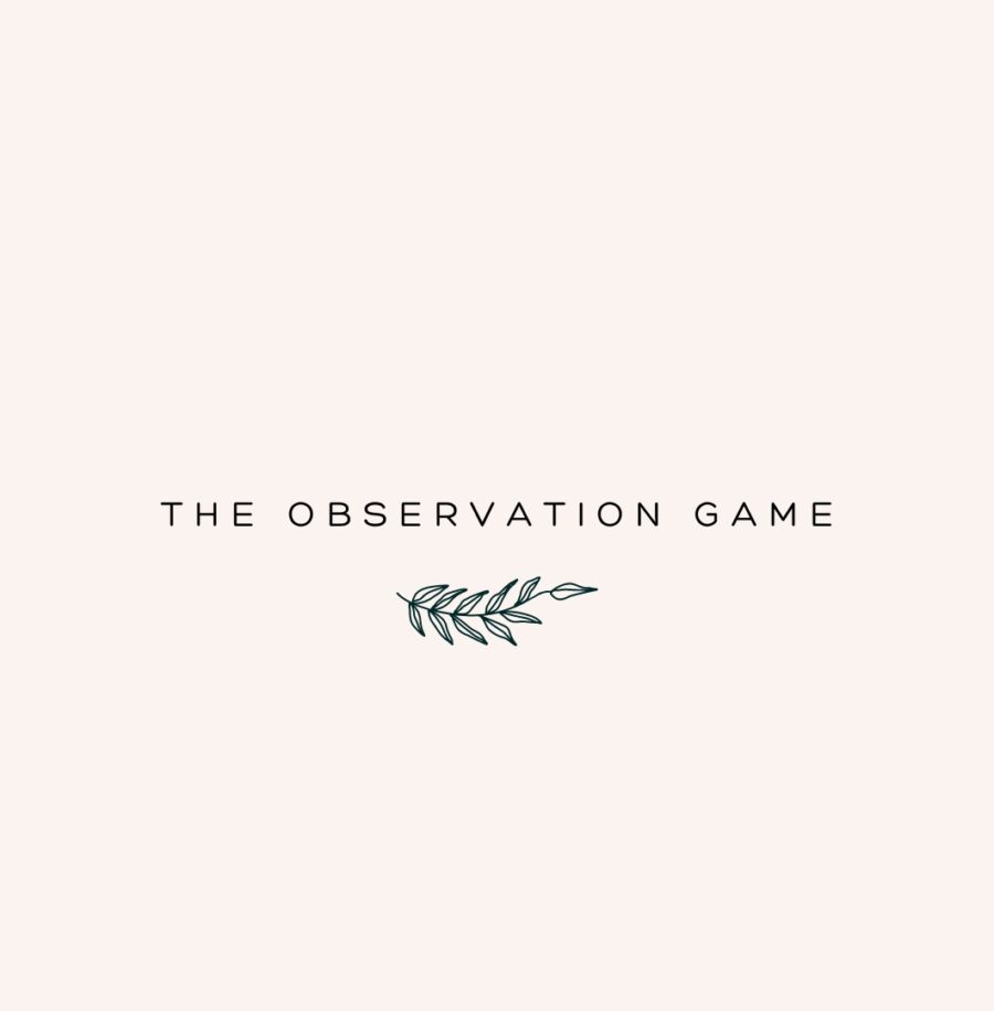 Style: The Observation Game