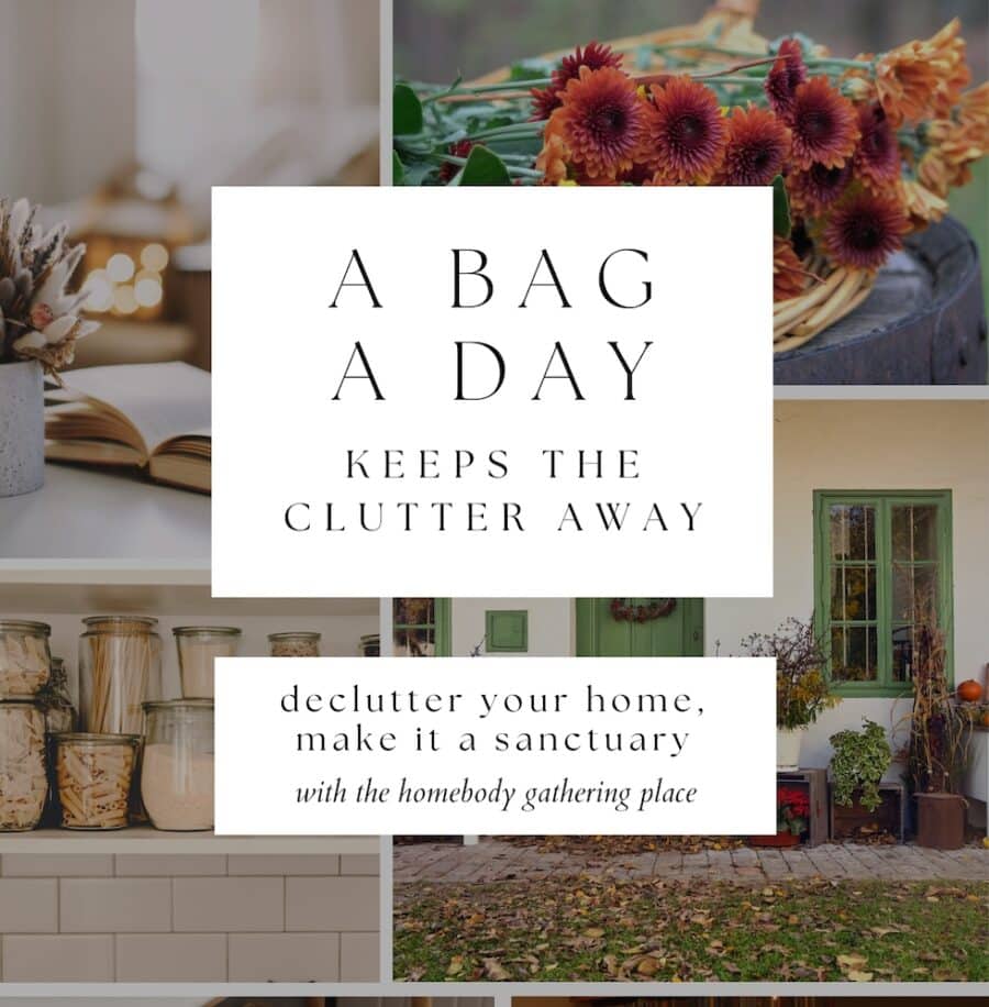 A Bag A Day Keeps the Clutter Away (Join our Fall Decluttering Challenge)