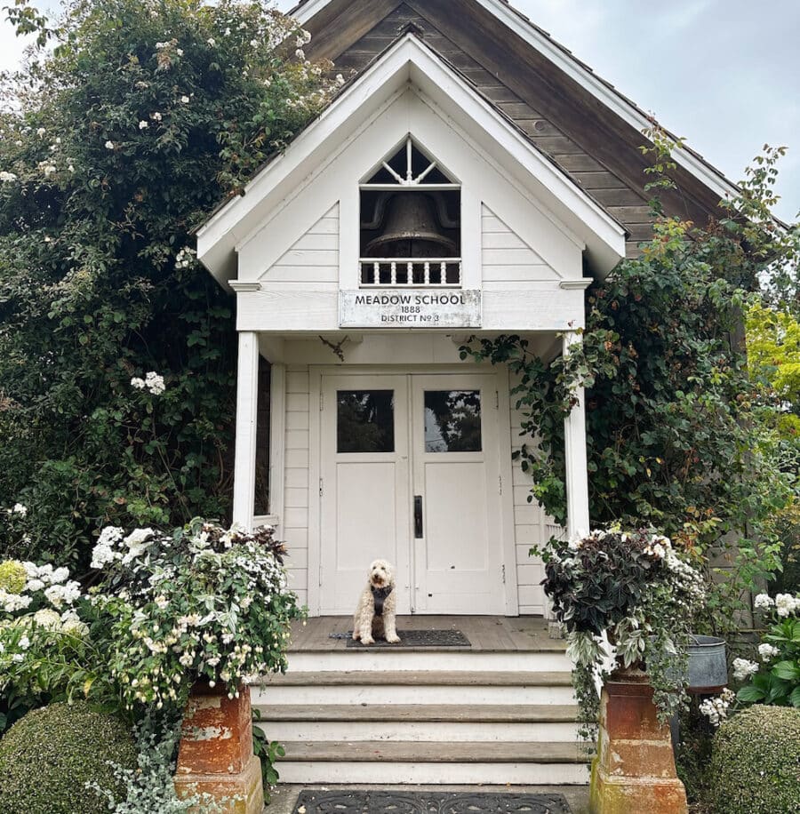 Life Lately: Lily + A Visit to a Garden Nursery