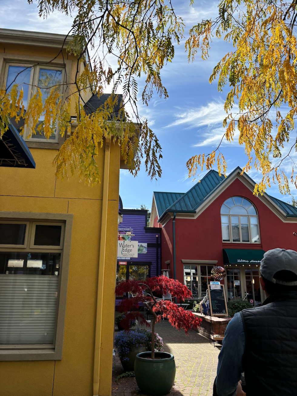 charming pacific northwest town langley washington alleyway fall trees