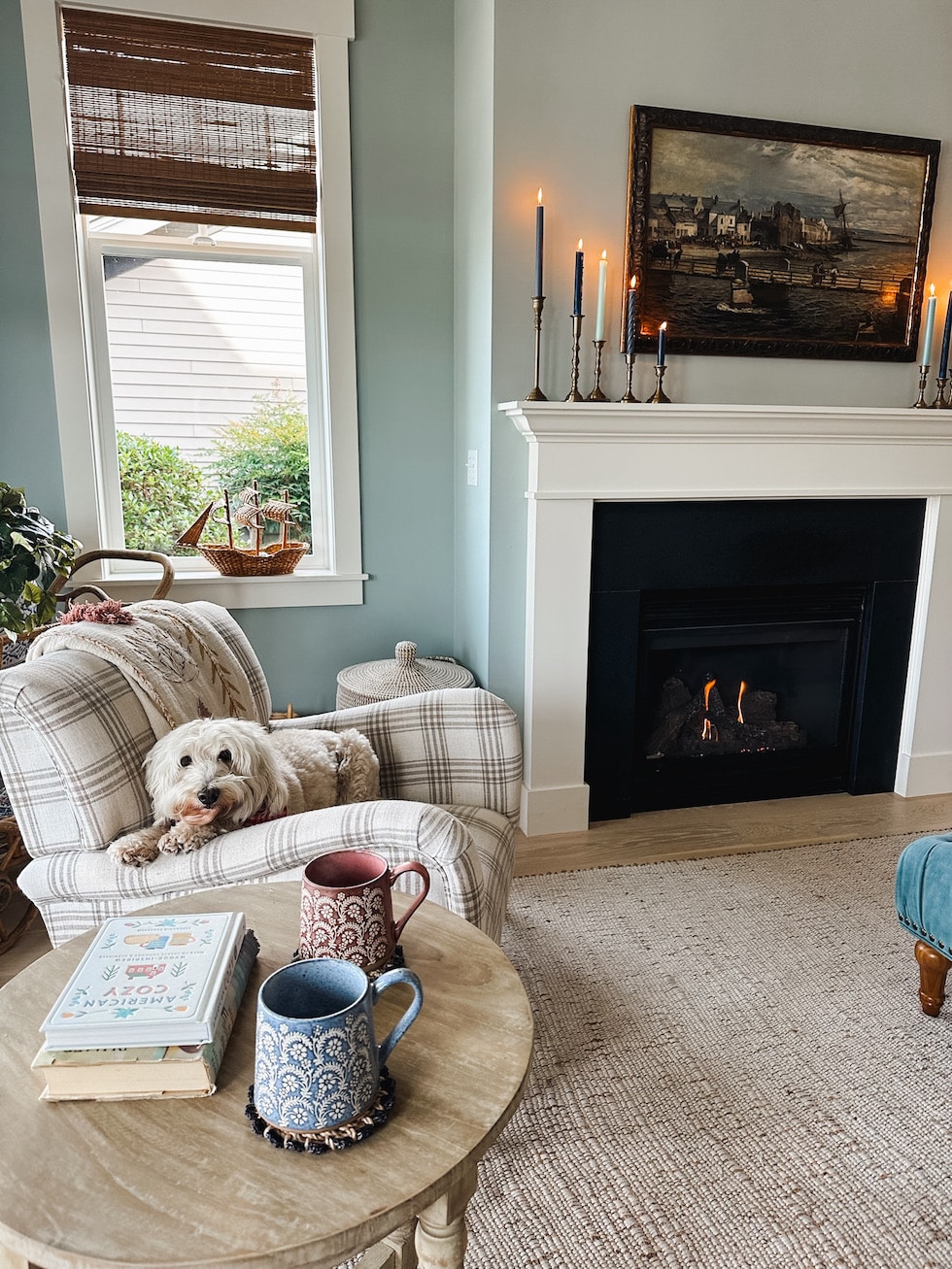 cozy living room inspired room