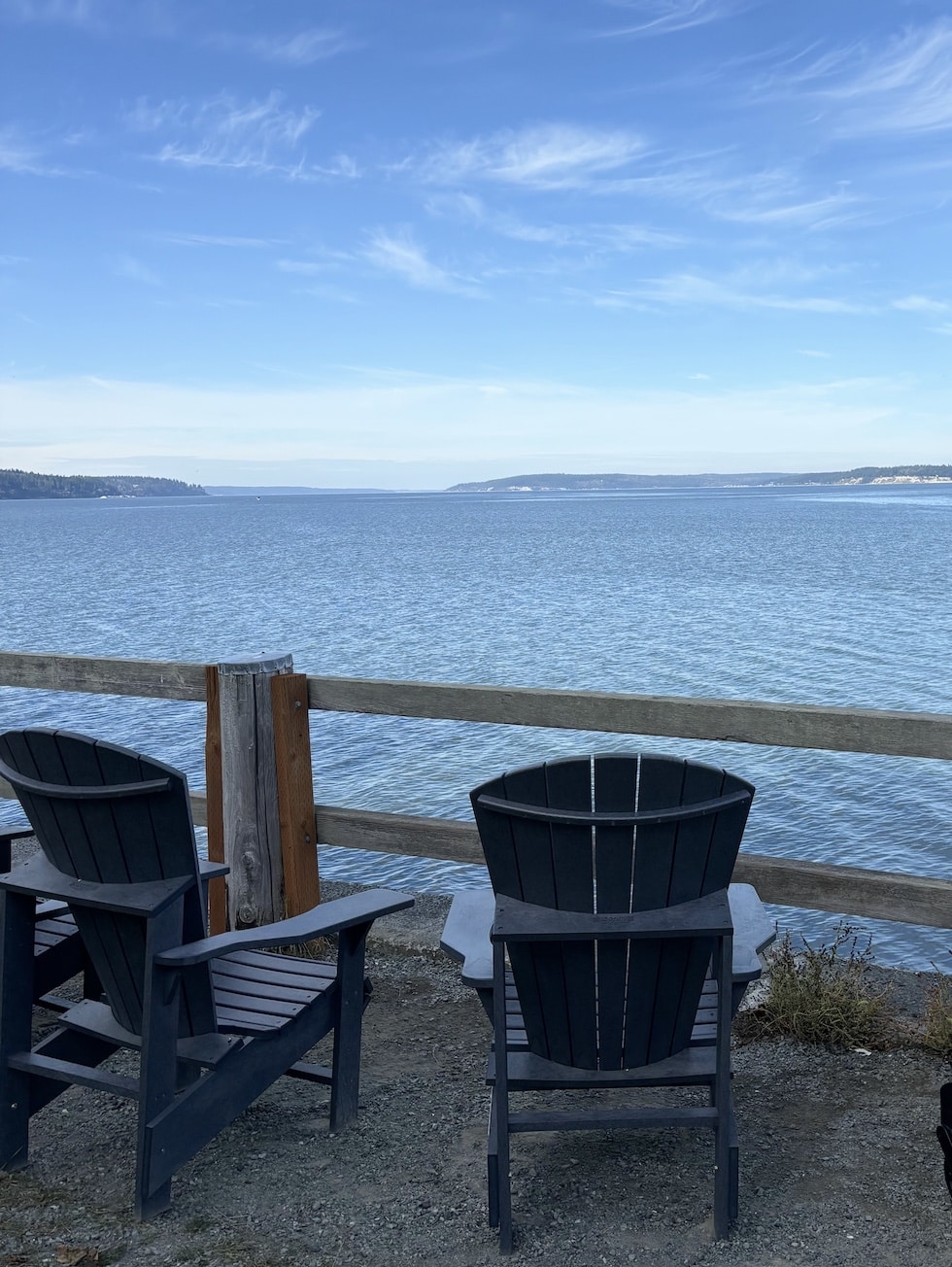 langley washington adirondack chair view the inspired room