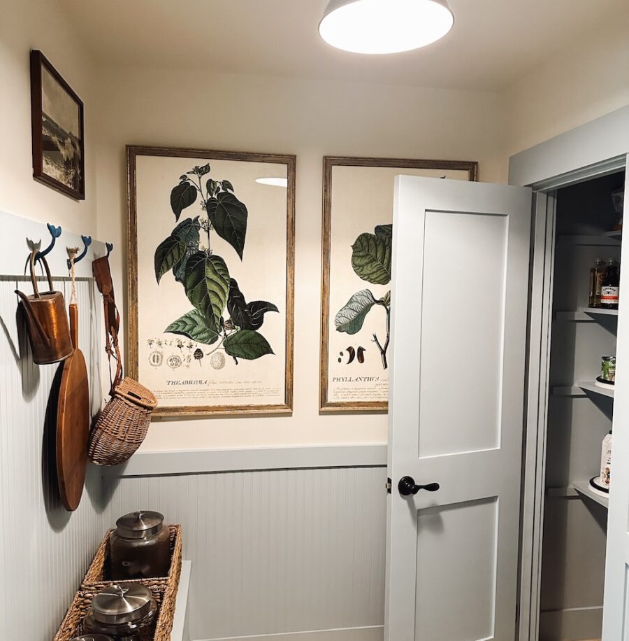 Our Tiny Mudroom (Pantry + Dog Feeding Station) Makeover