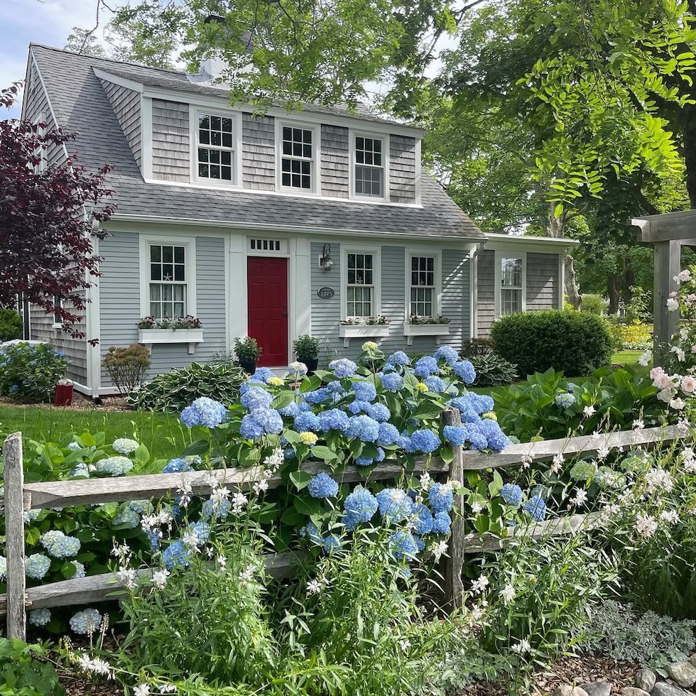 charming exterior blue house red door hydrangeas