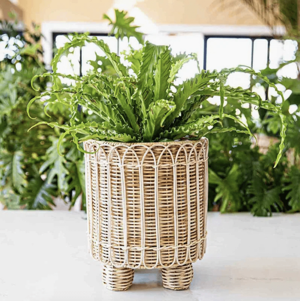 round woven planter