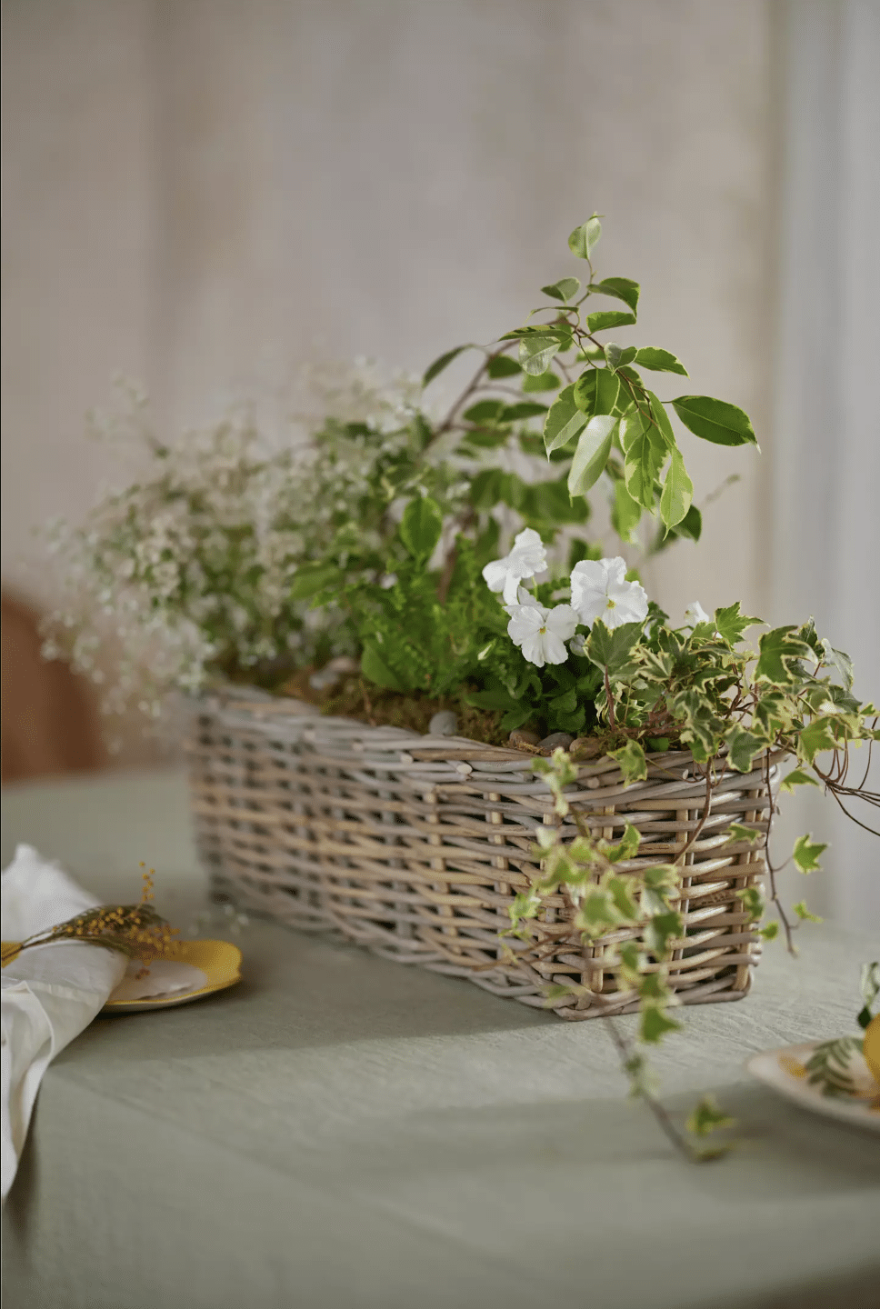 woven rattan trough planter