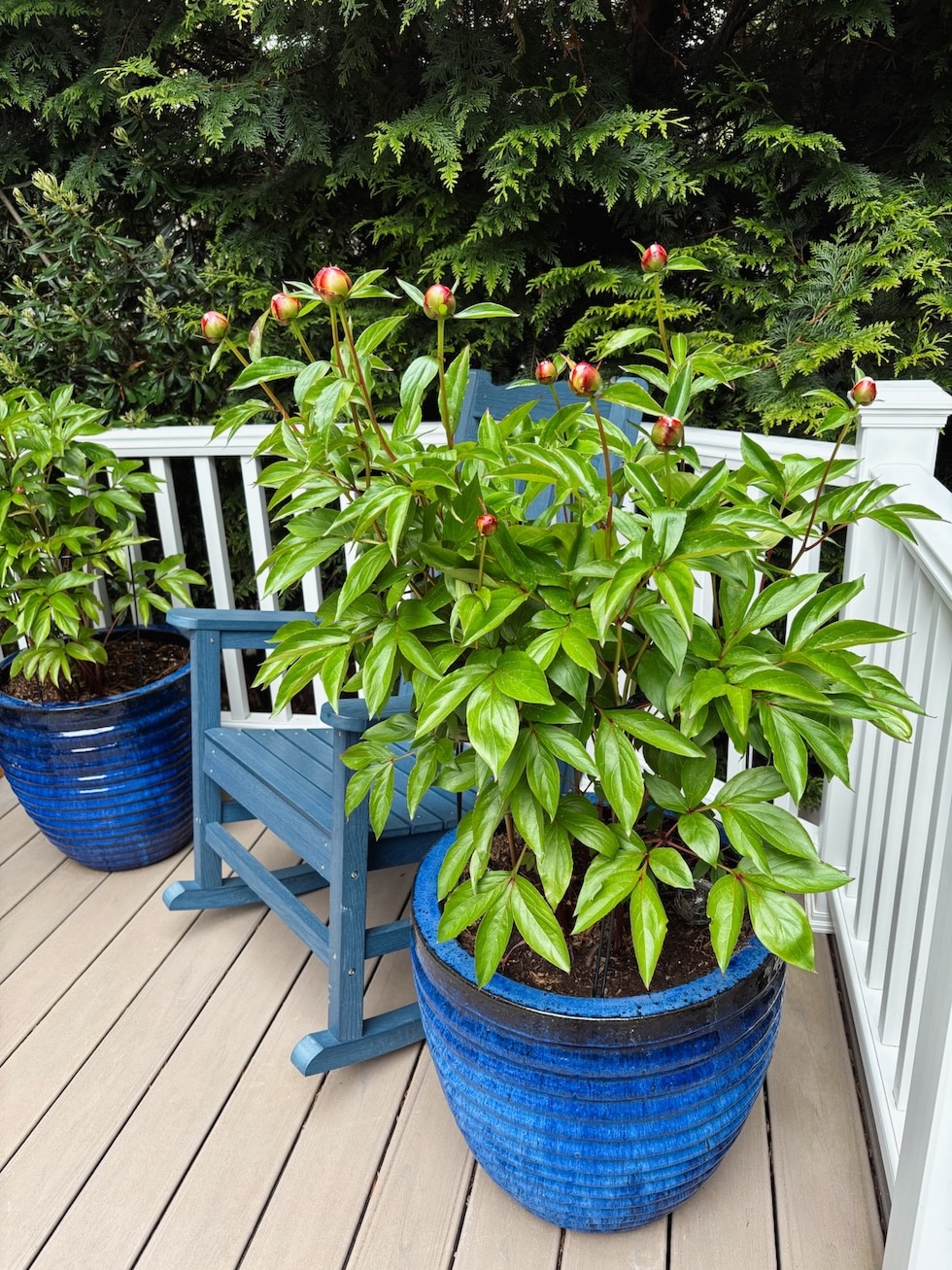5 Outdoor Spring Projects We've Worked on So Far
