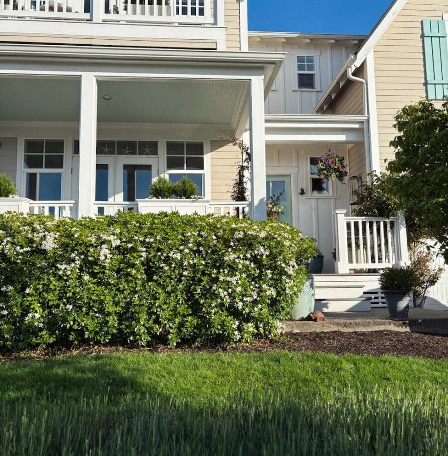 5 Outdoor Spring Projects We’ve Worked on So Far This Year