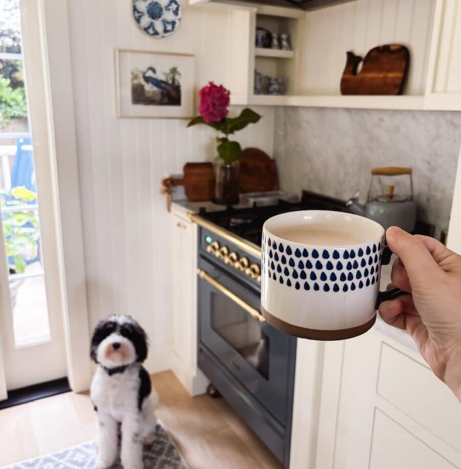 16+ of My Favorite Amazon Home Decor Finds (and more!)