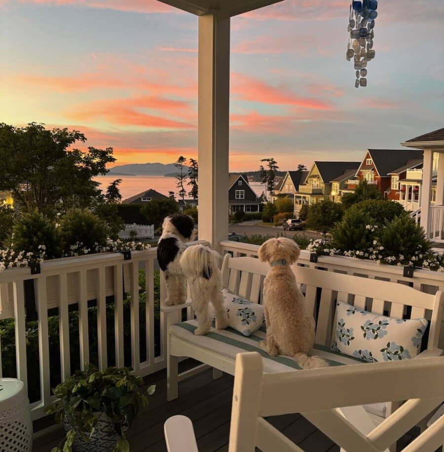 How to Savor The In Between Season in Your Home with Summer to Fall Decorating (plus my faded faux hydrangeas and fall home decor ideas!)