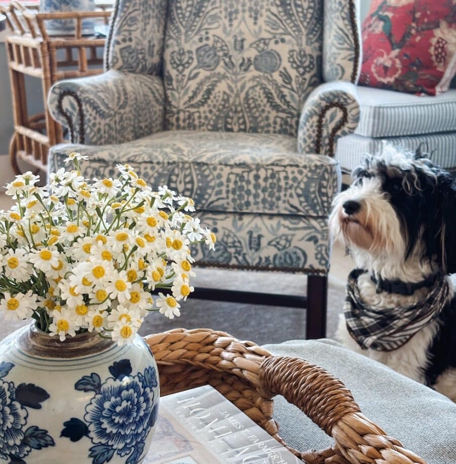 Summer Decor Shop 2026 + Mood Boards